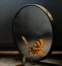 Farkındalık ve Duygusal Dönüşüm&nbsp;Süreci